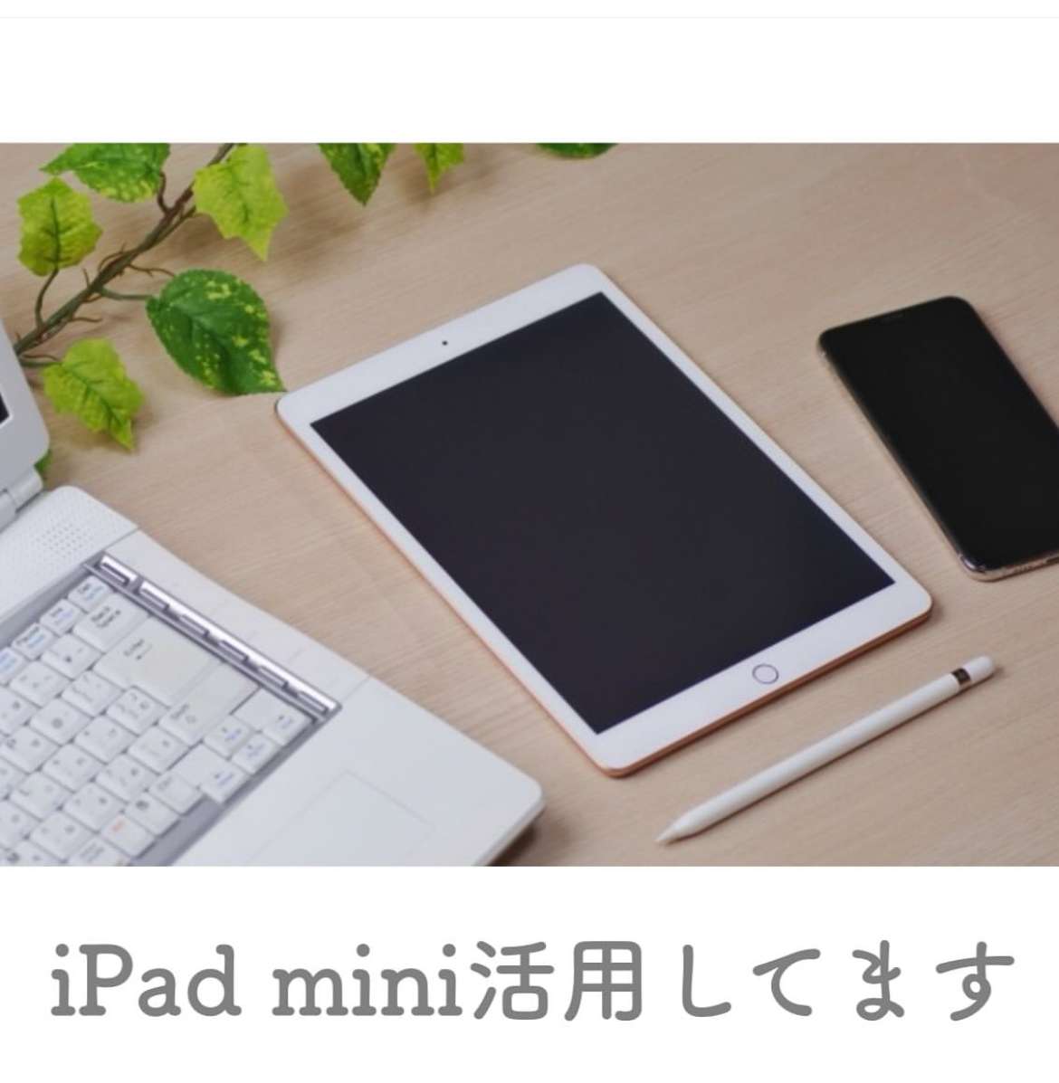iPad mini活用してます